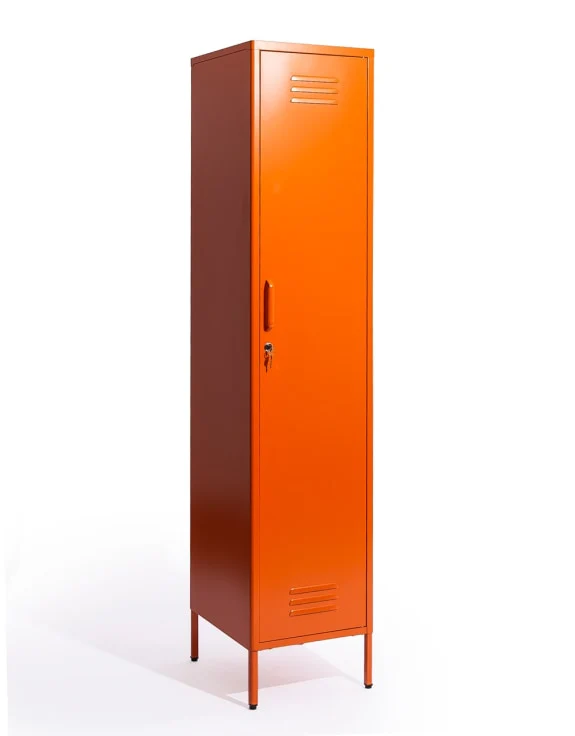 Tall Steel Locker in Painted Colours - Image 7