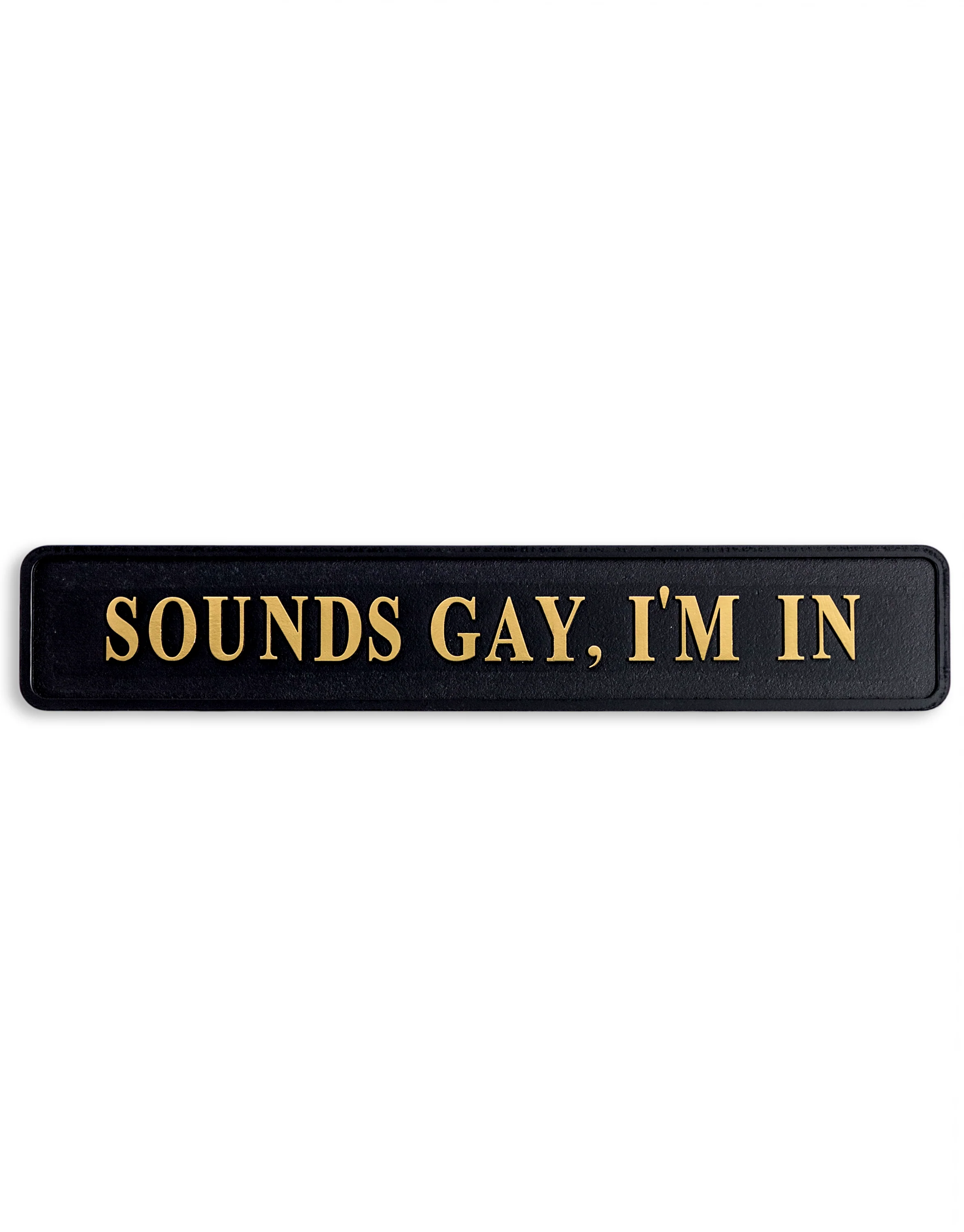 "Sounds Gay I'm In" Wall Sign