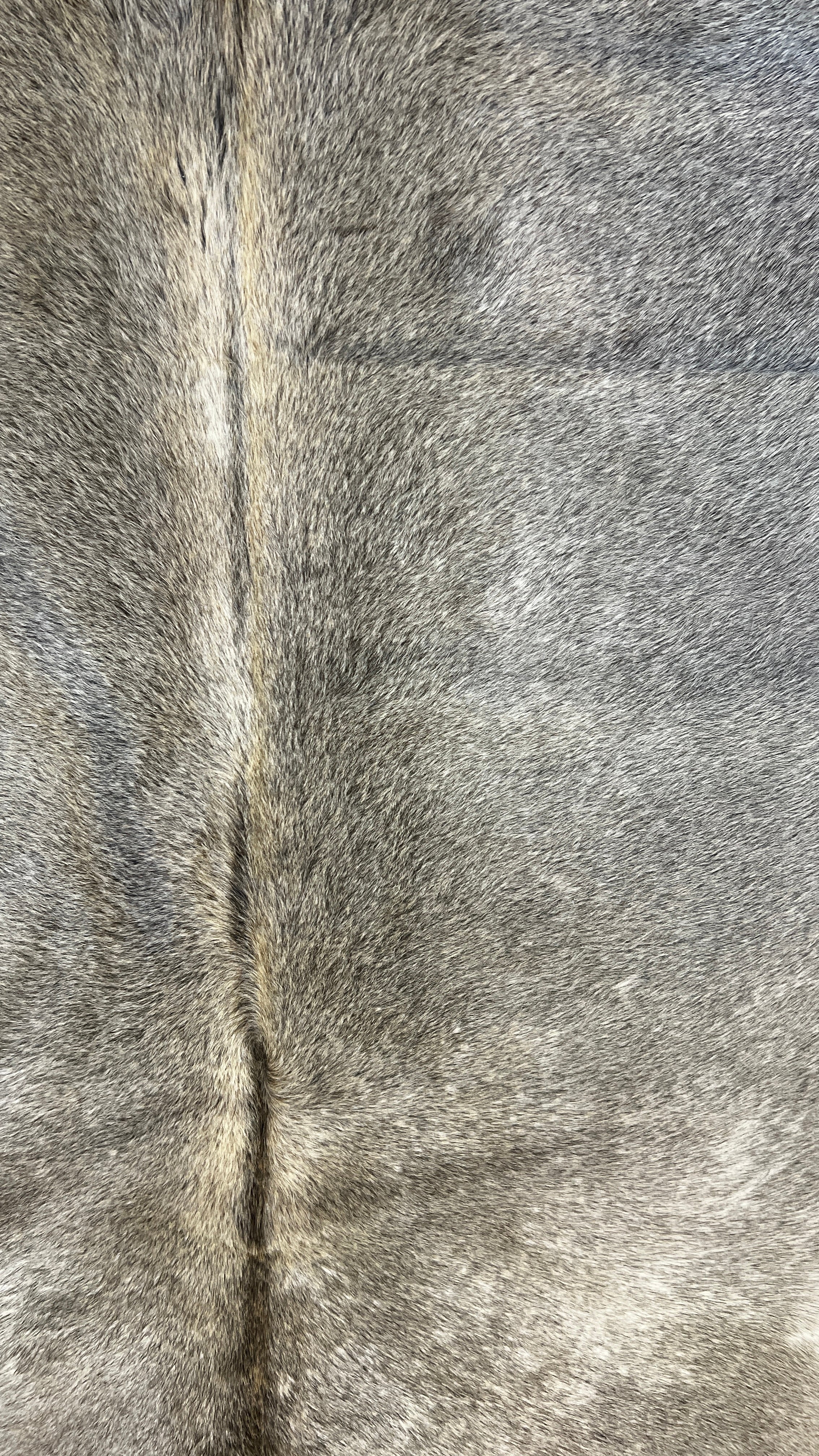 Cowhide Medium Alpen Grey