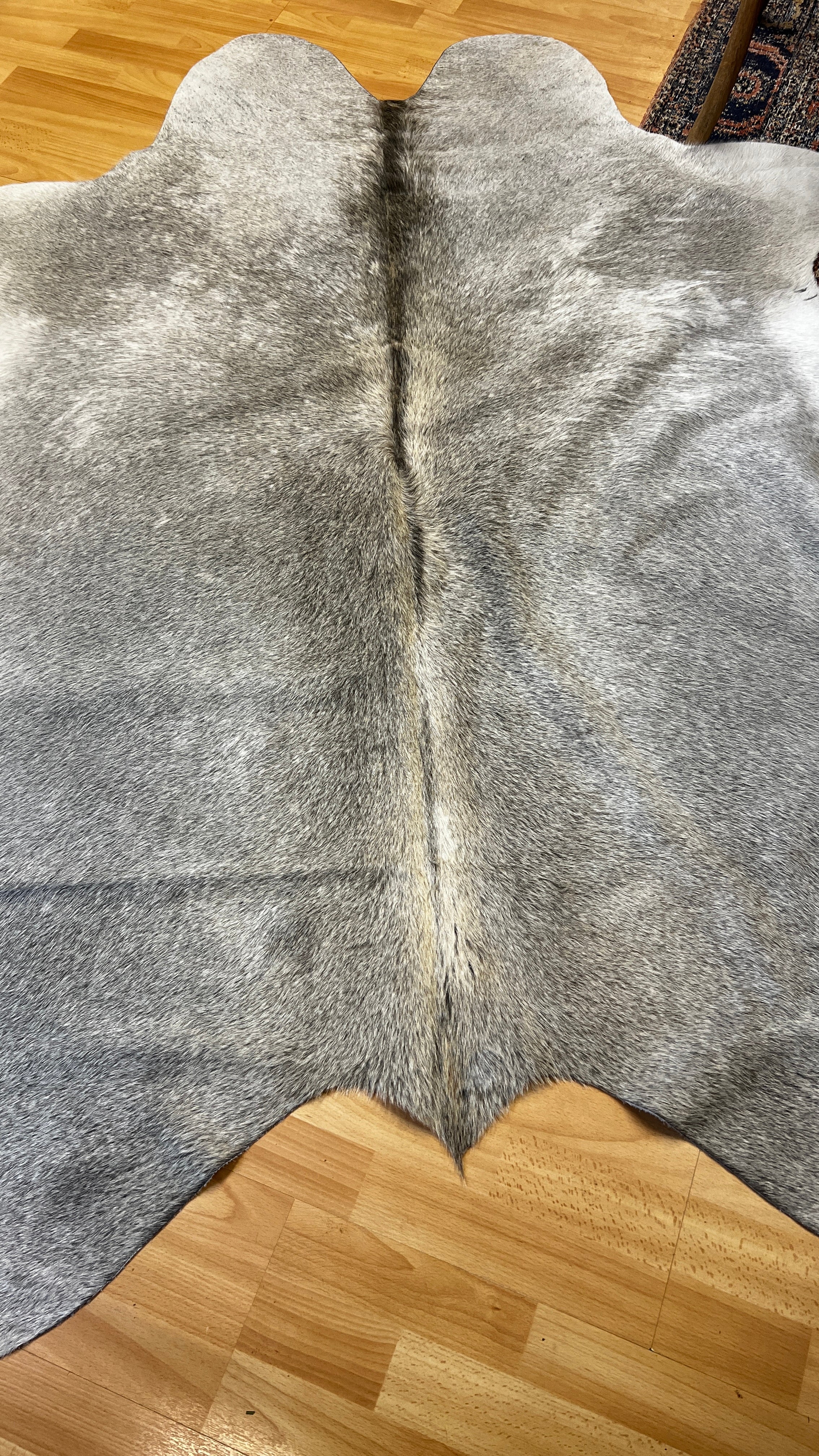 Cowhide Medium Alpen Grey - Image 2