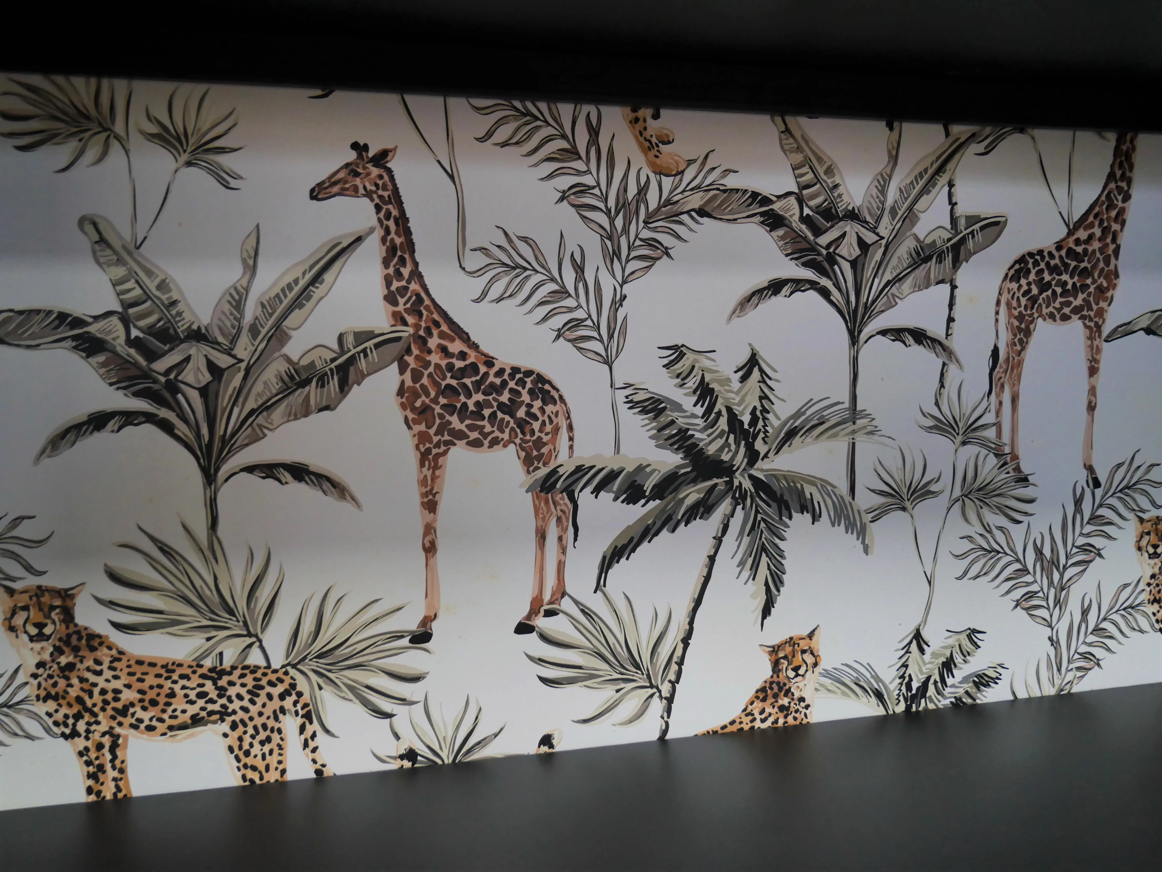 Display Cabinet - Image 7