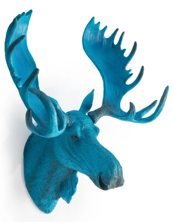 Electric Blue Moose Wall Head - Image 2