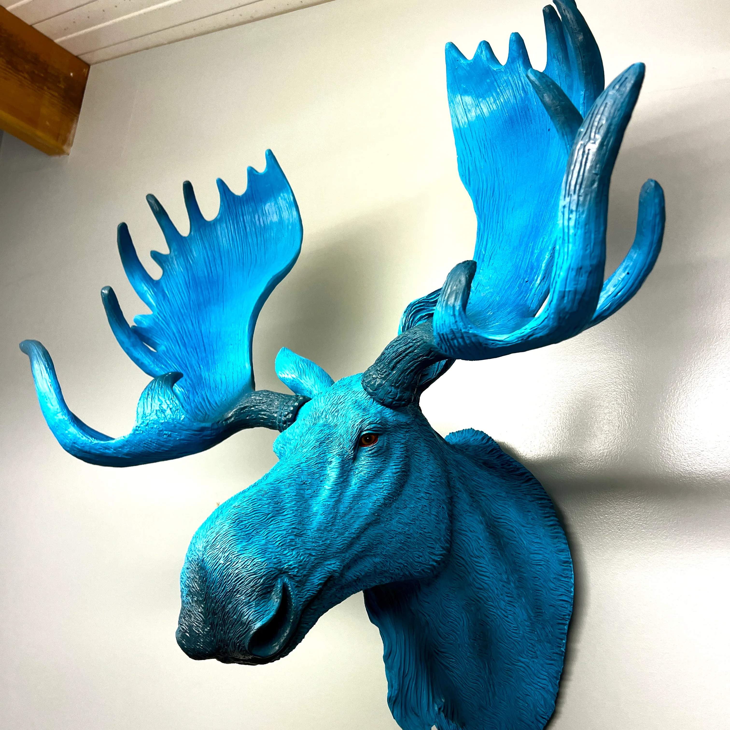 Electric Blue Moose Wall Head - Image 3