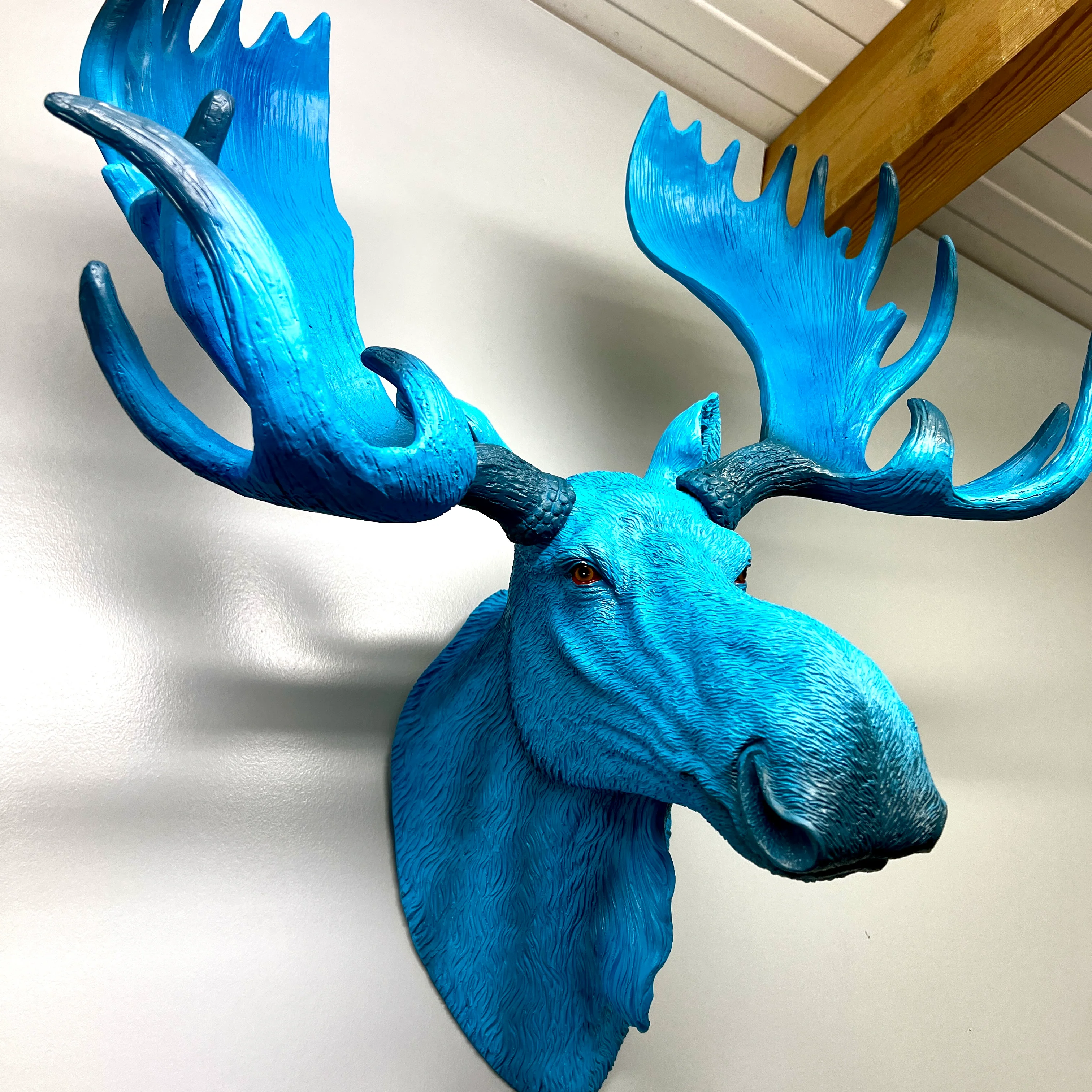Electric Blue Moose Wall Head - Image 4