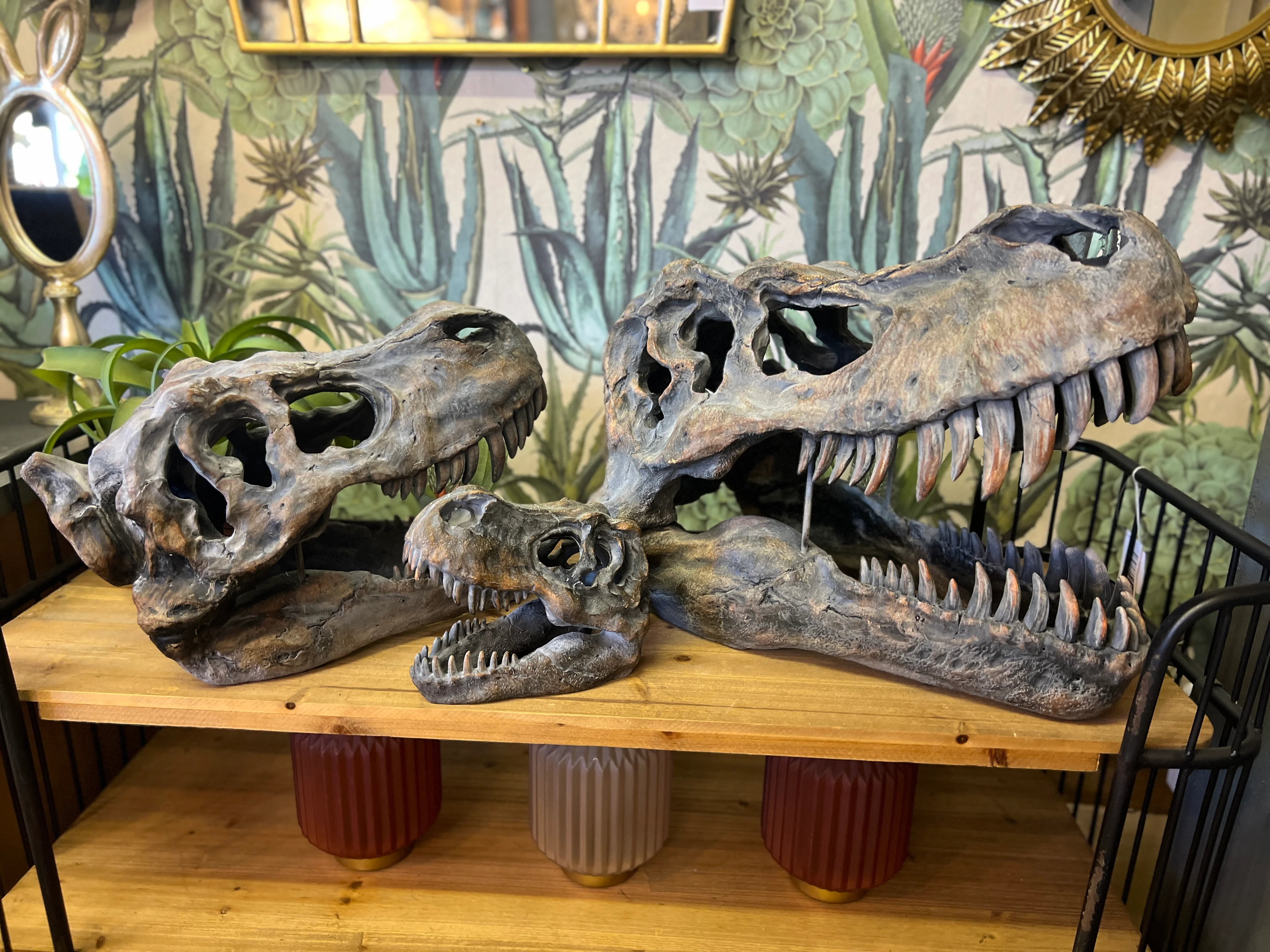 Extra Large T-Rex Skull Wall Head