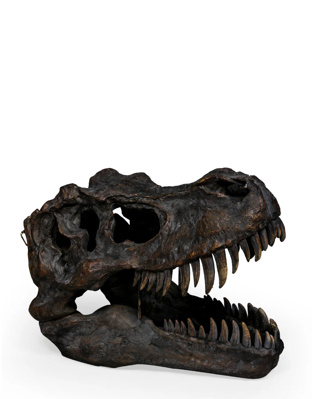 Extra Large T-Rex Skull Wall Head - Image 2
