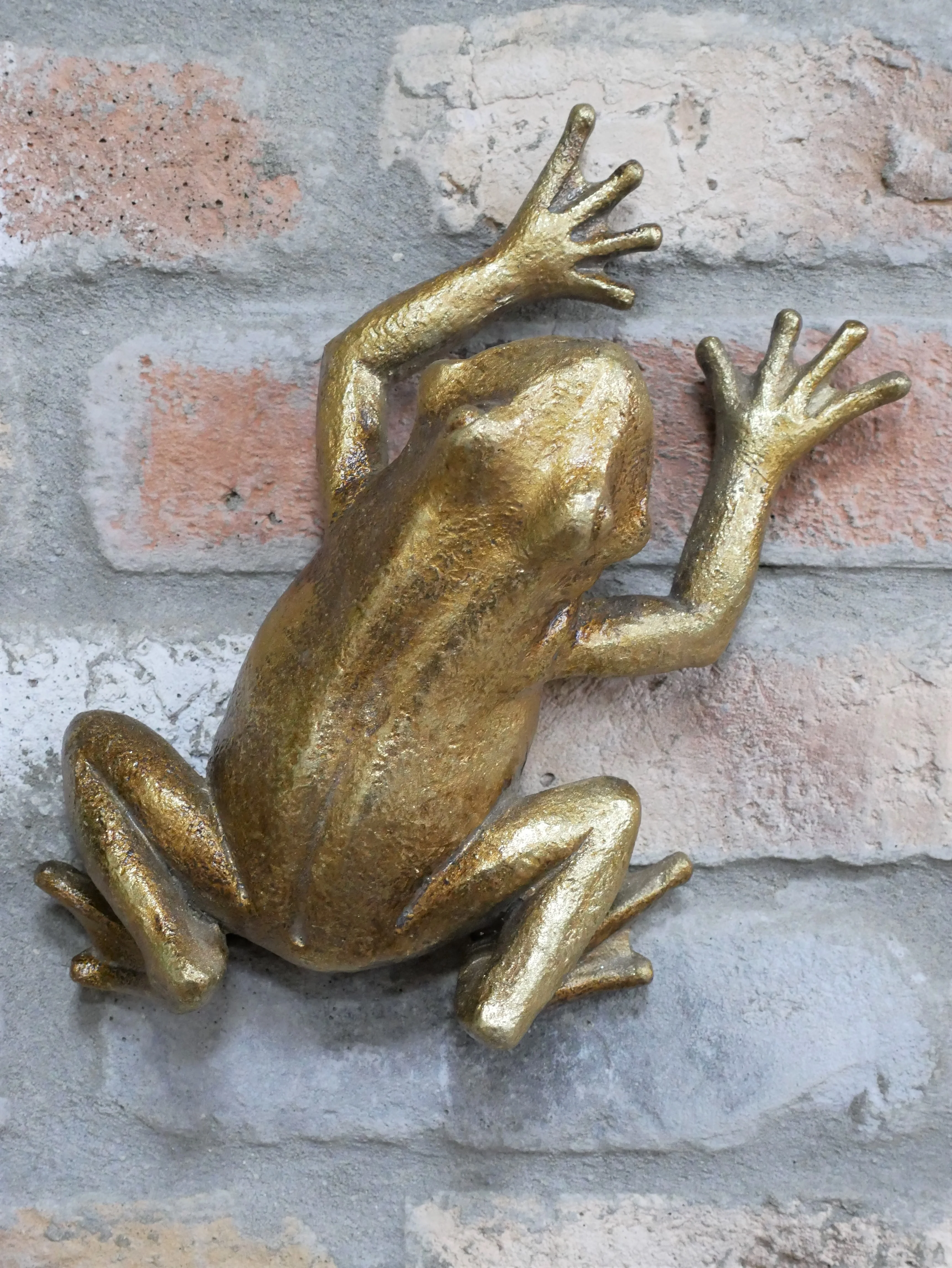 Frog Wall Decoration - Image 2
