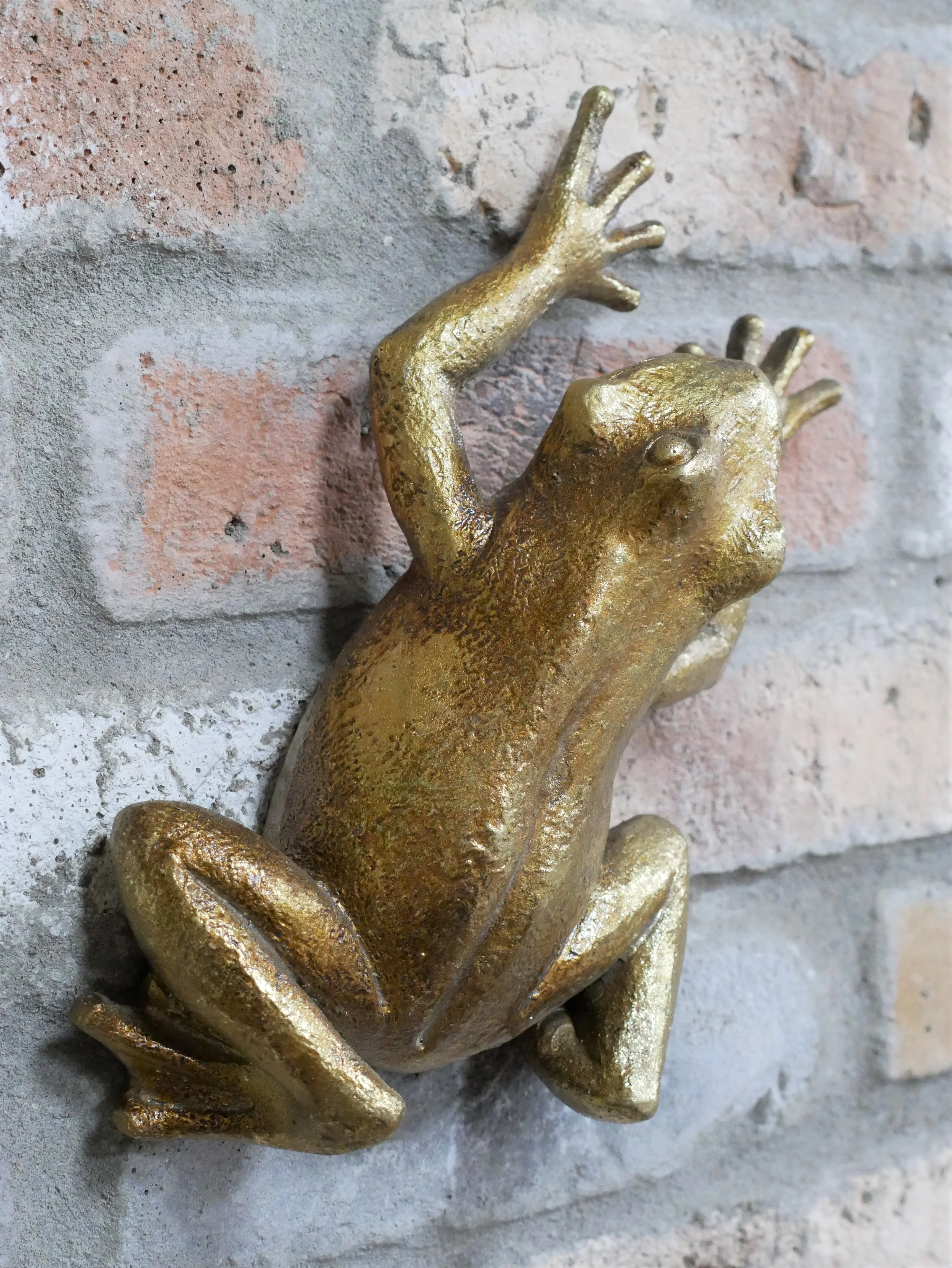 Frog Wall Decoration - Image 3