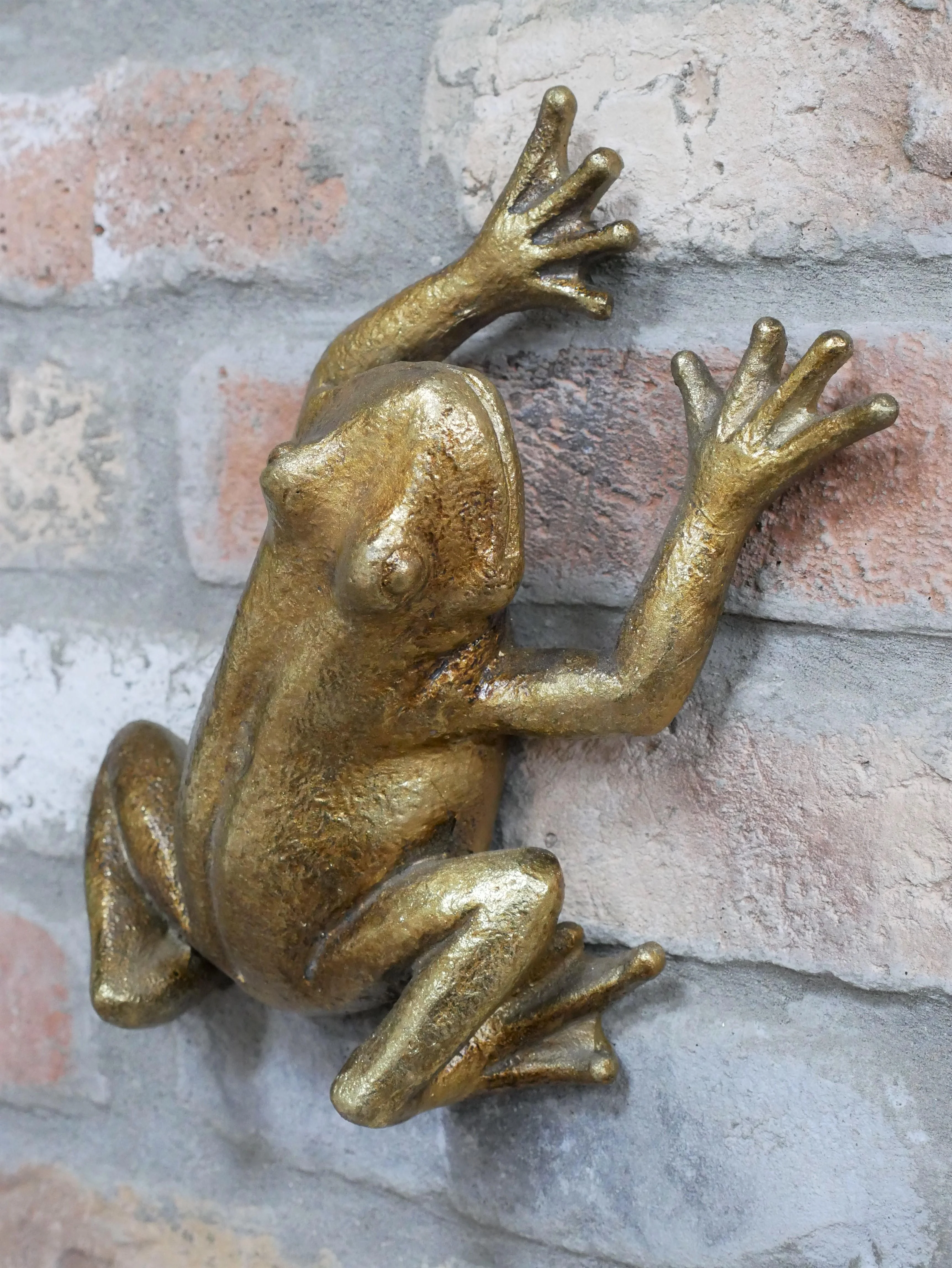 Frog Wall Decoration - Image 4