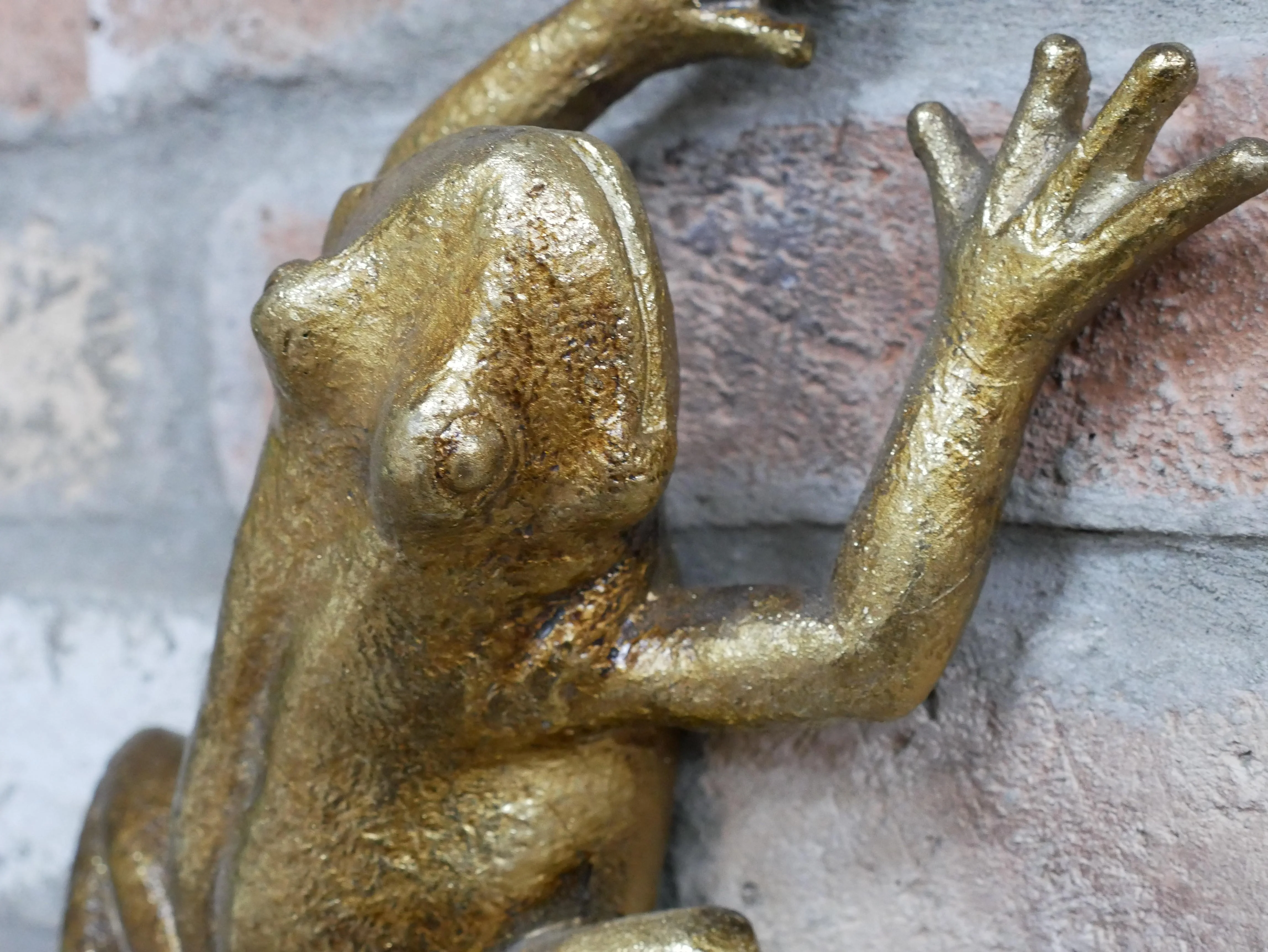 Frog Wall Decoration - Image 5