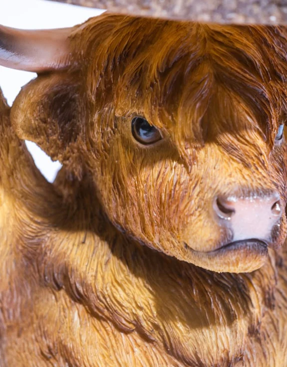 Highland Cow "Trunk Slice" Side Table - Image 3