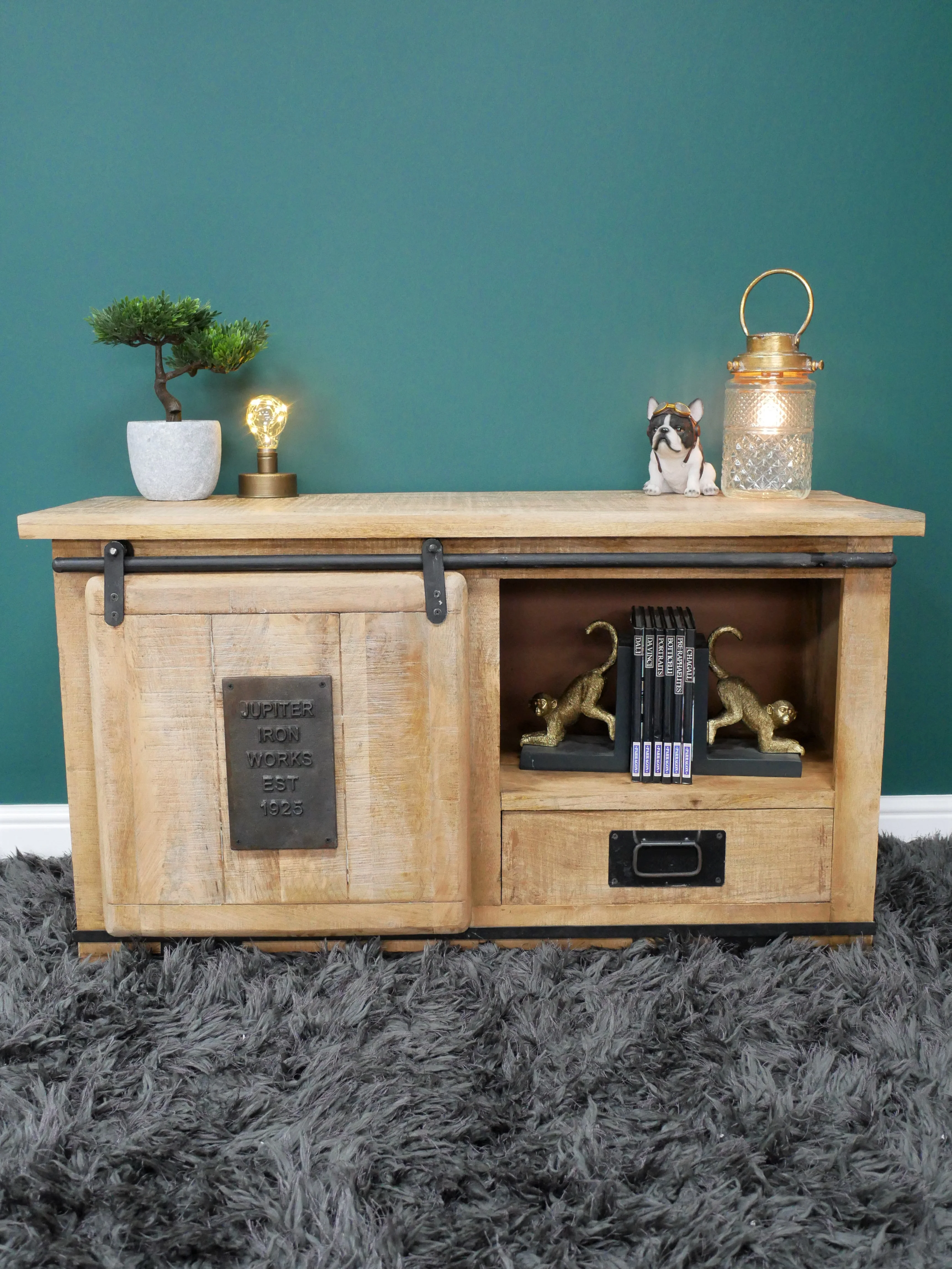 Industrial TV Cabinet Sliding Door - Image 2