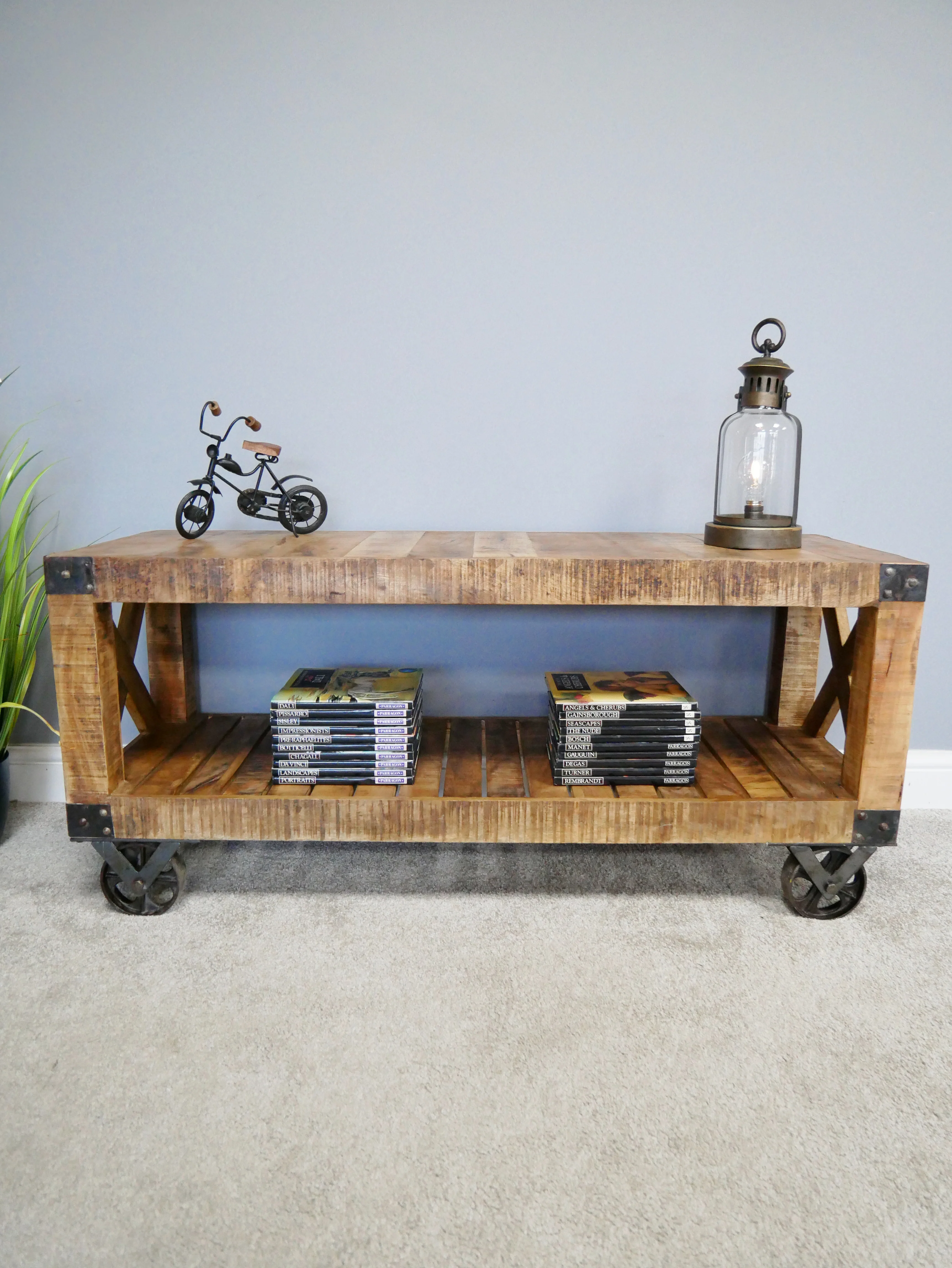 Industrial TV Cabinet - Image 3