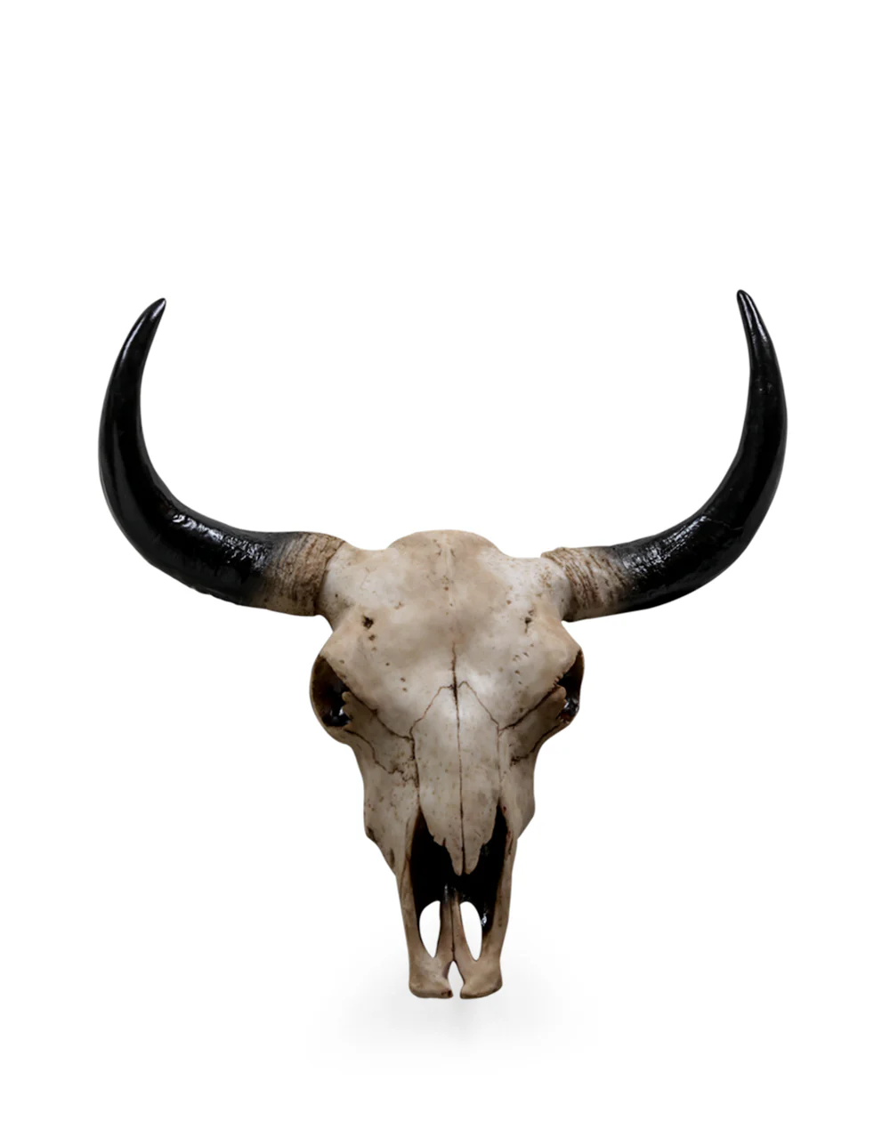 Large Bison Skull Wall Head - Back In Stock