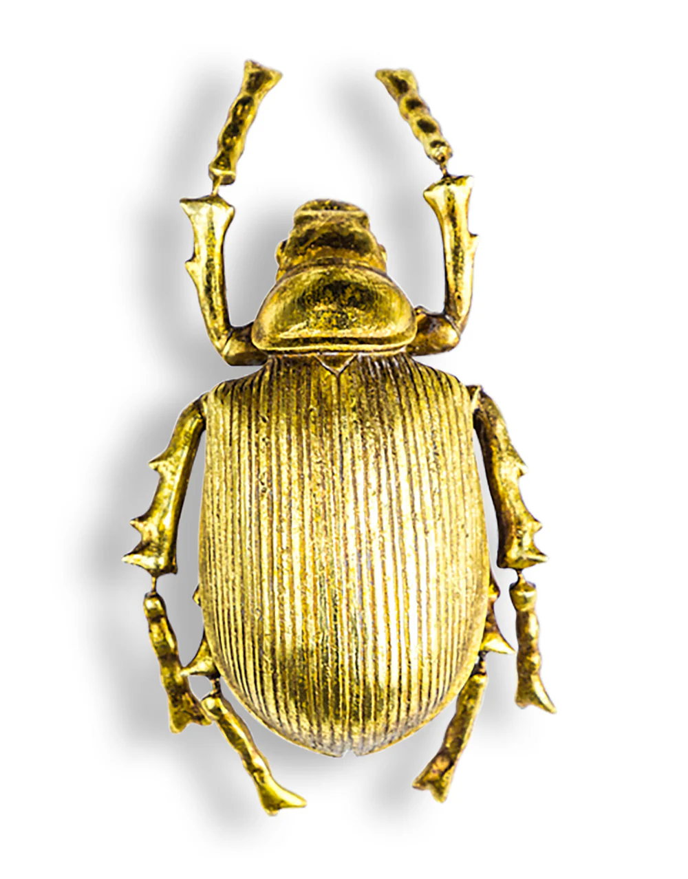 Gold Beetle Wall Decor