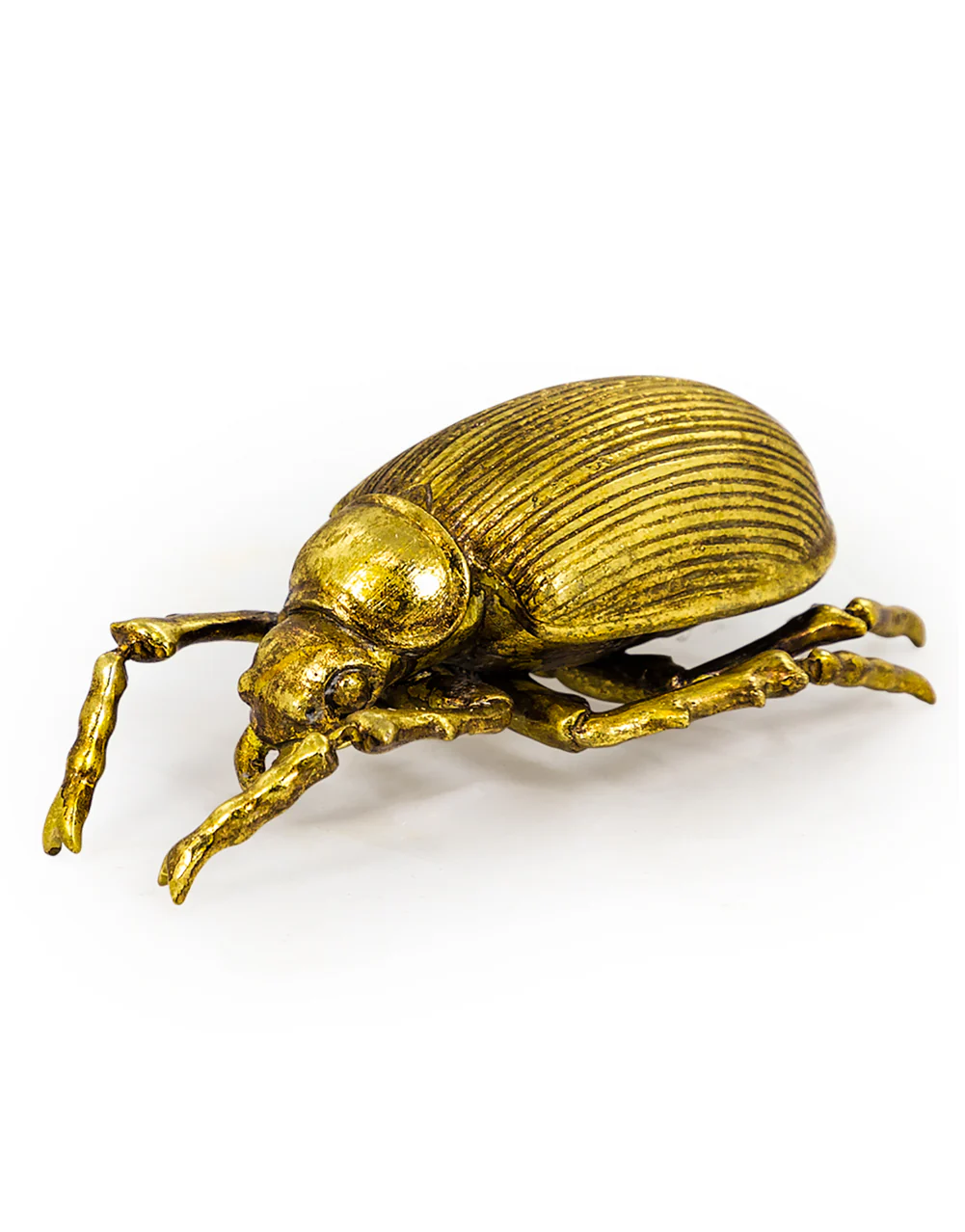 Gold Beetle Wall Decor - Image 4
