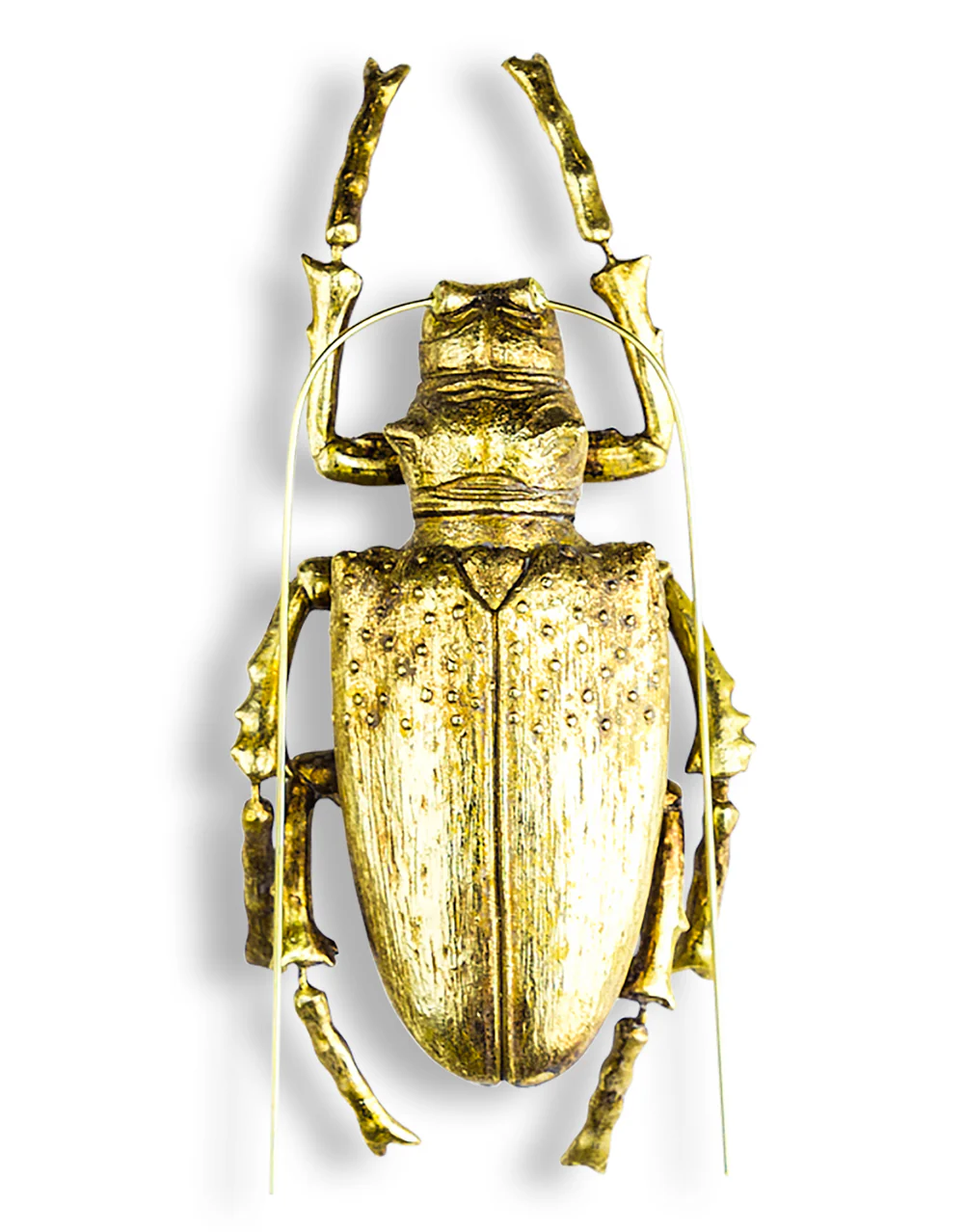 Large Gold Beetle Wall Decor