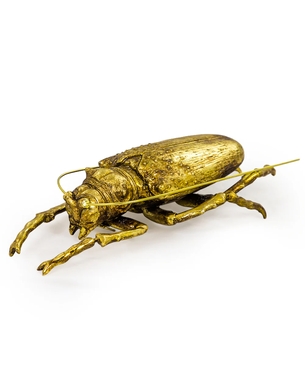 Large Gold Beetle Wall Decor - Image 2
