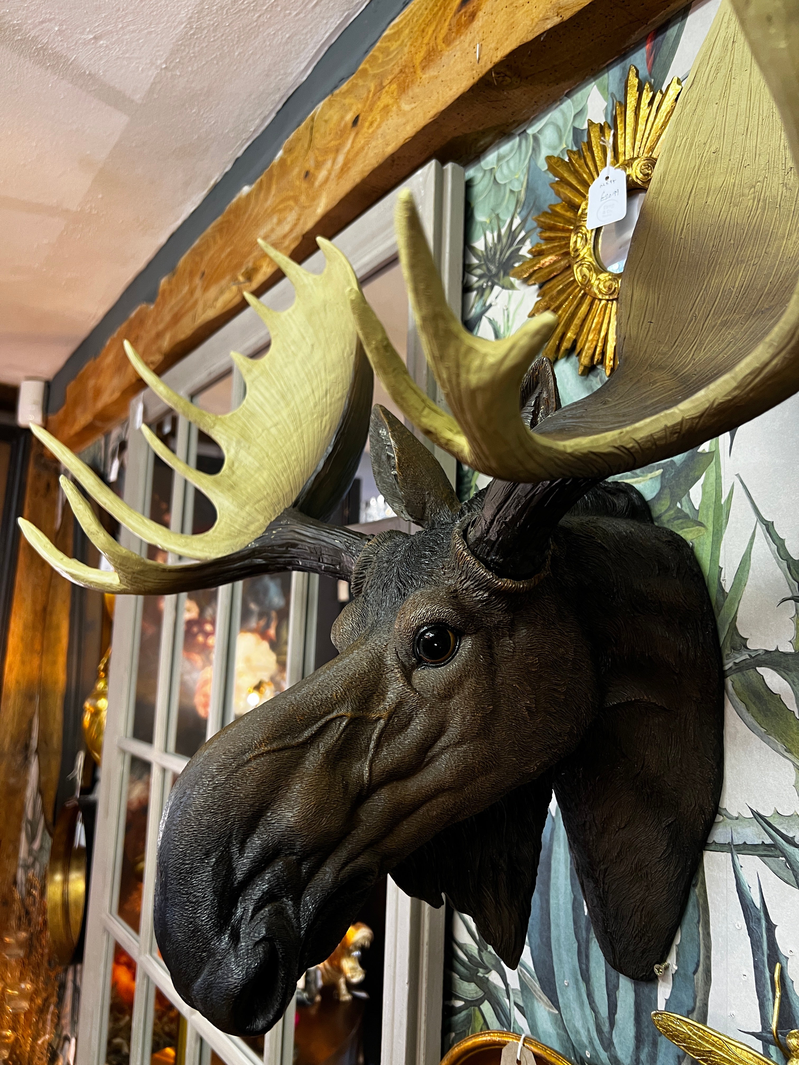 Moose Wall Head - Back In Stock