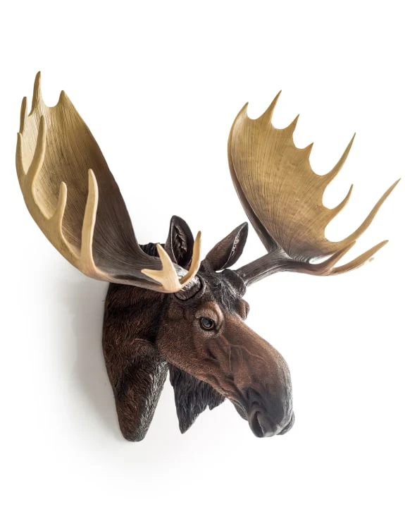 Moose Wall Head - Back In Stock - Image 2