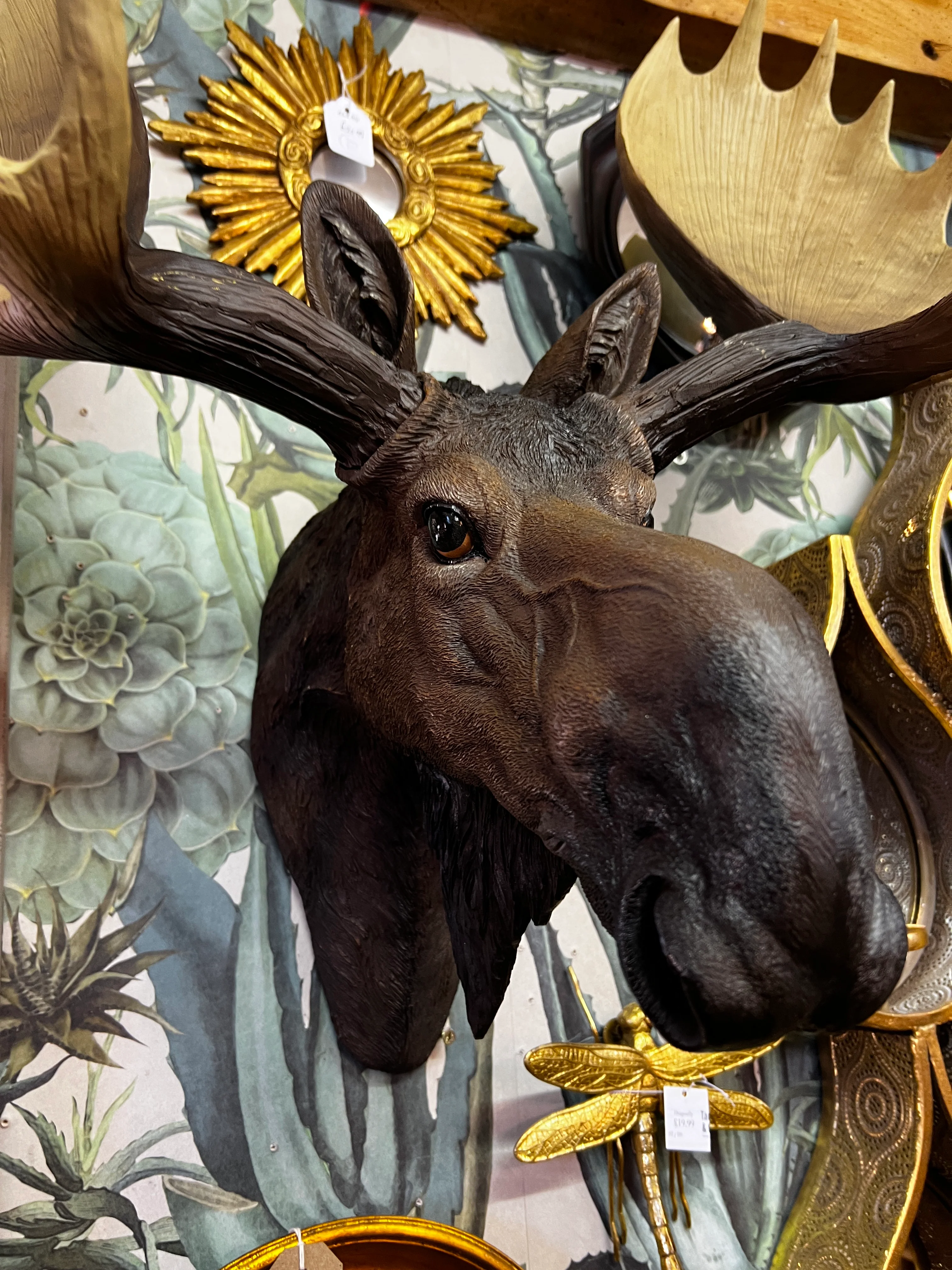 Moose Wall Head - Back In Stock - Image 3
