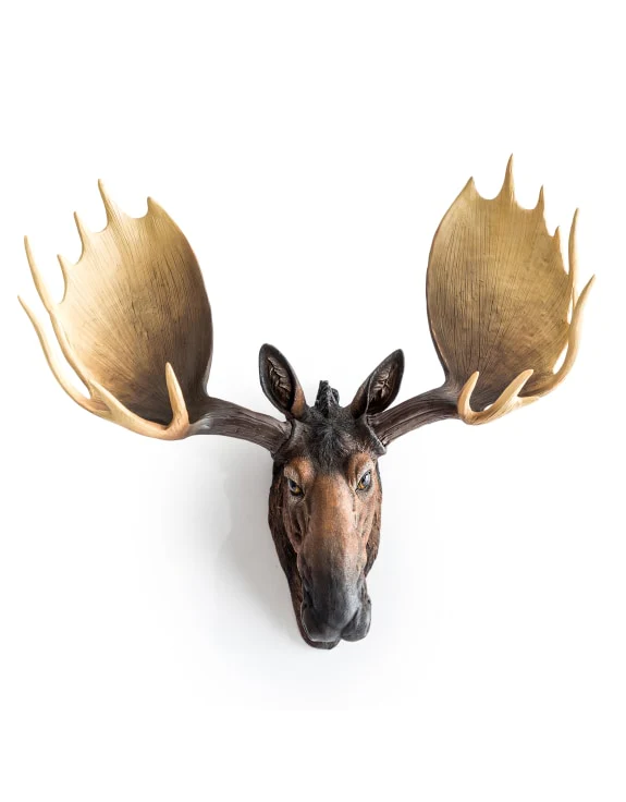 Moose Wall Head - Back In Stock - Image 4
