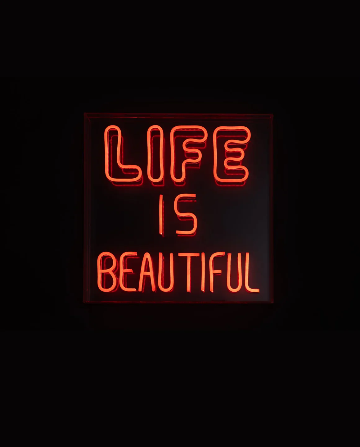 LED Neon Acrylic Light Box - Life Is Beautiful