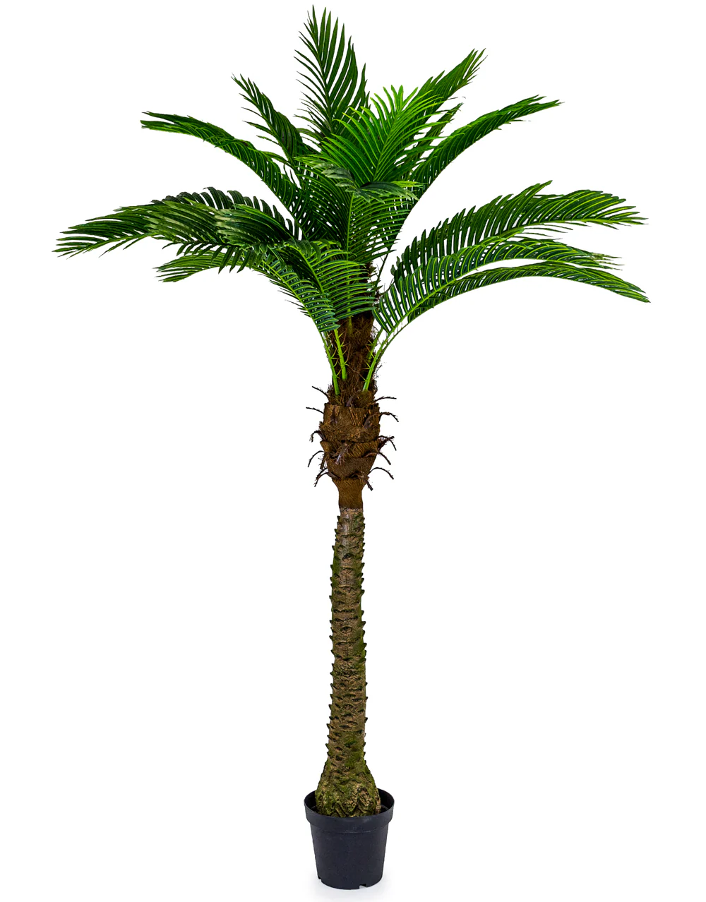 Pair Of Faux Large Palm Tree in Black Pots