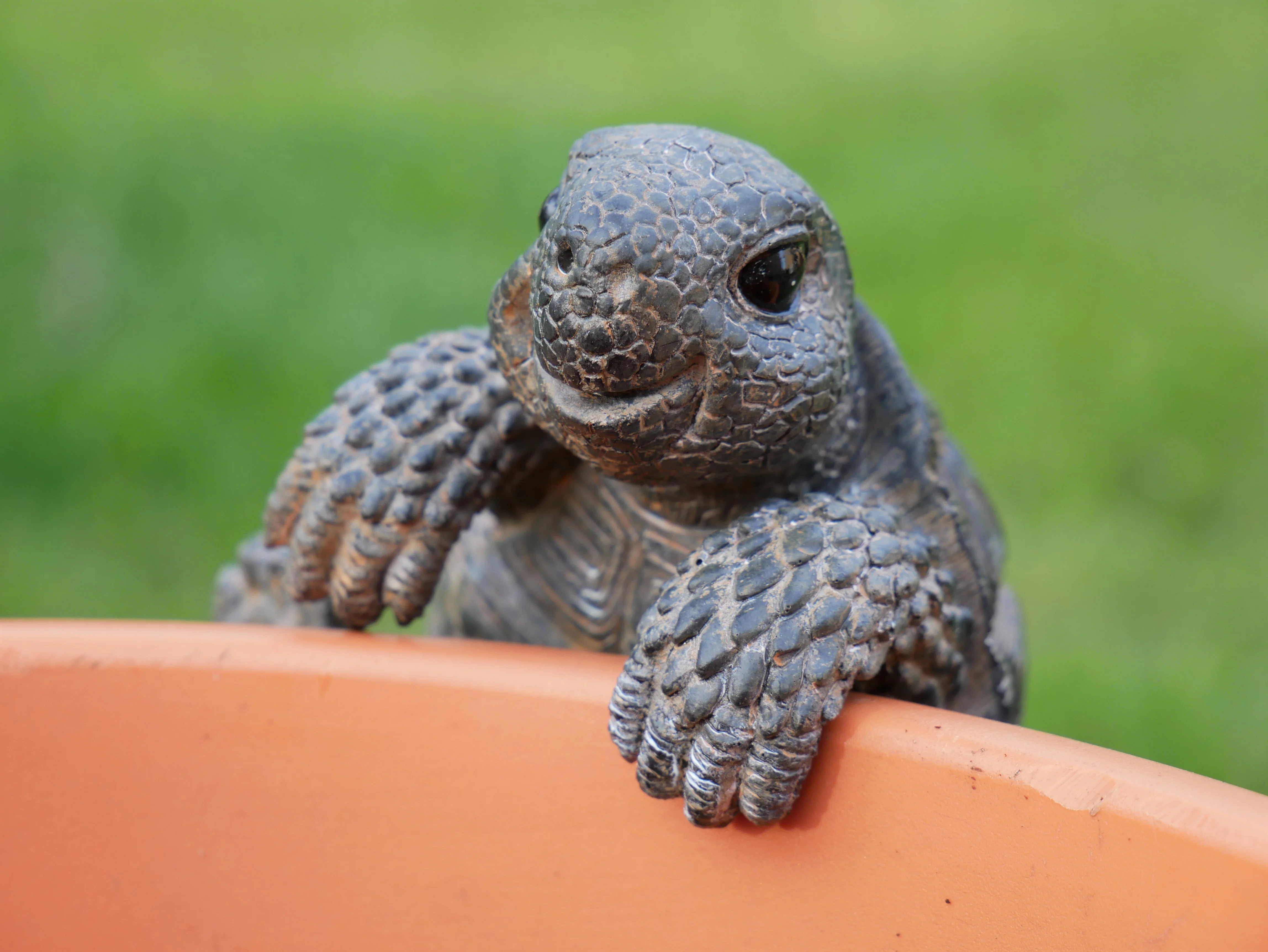 Pot Hanging Tortoise - Image 3