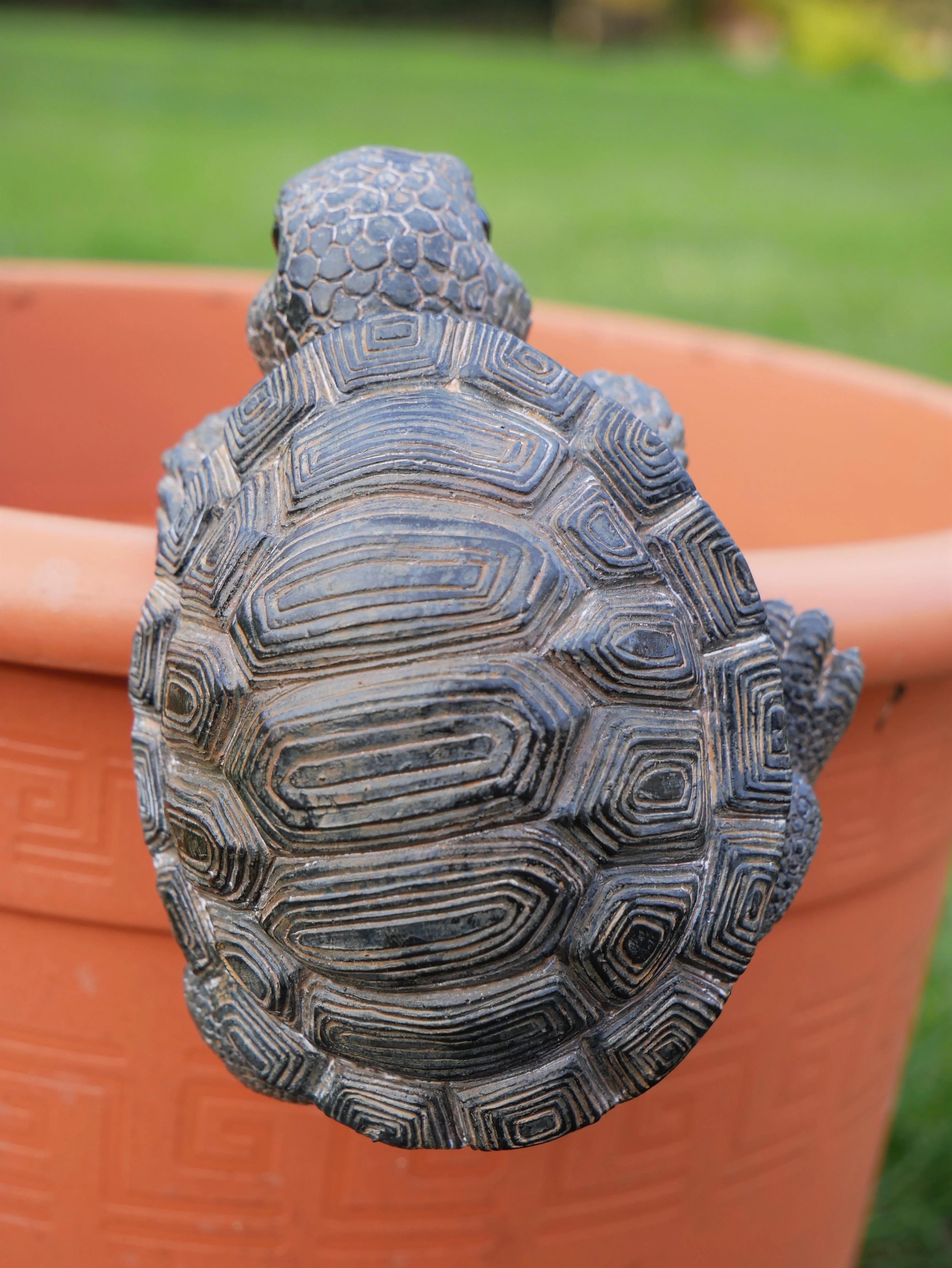 Pot Hanging Tortoise - Image 4