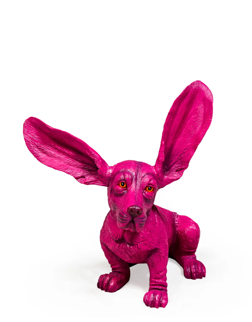 Purple / Pink Surprised Basset