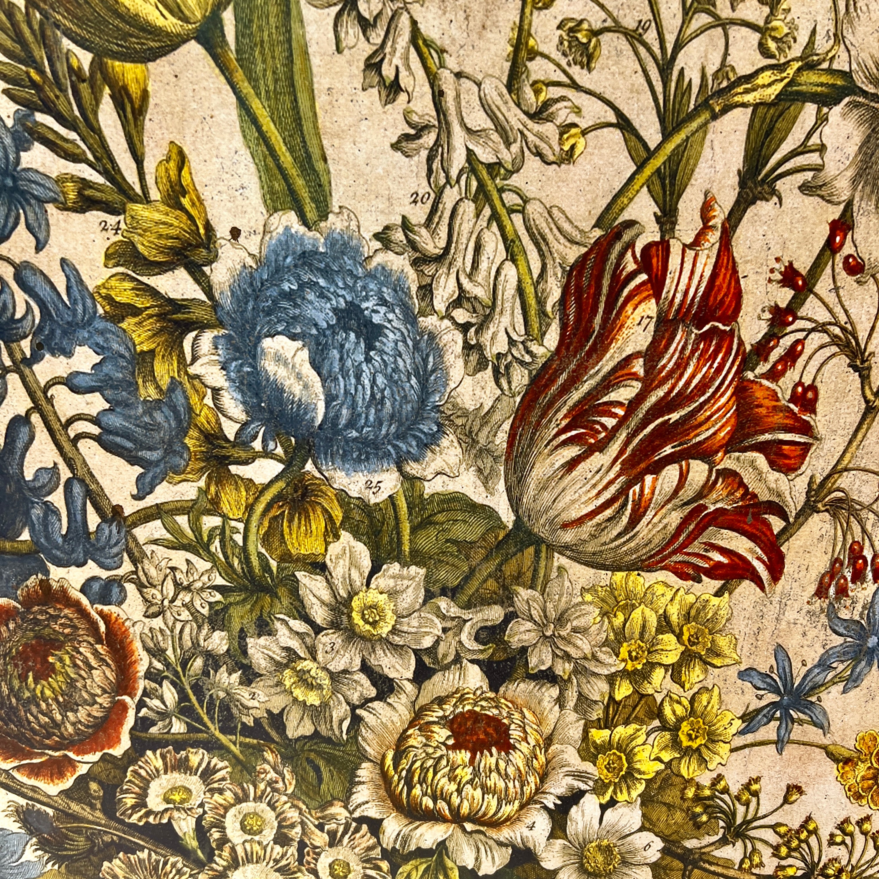 Set of 2 Antiqued Boho Floral Wall Prints Light - SALE - Image 5