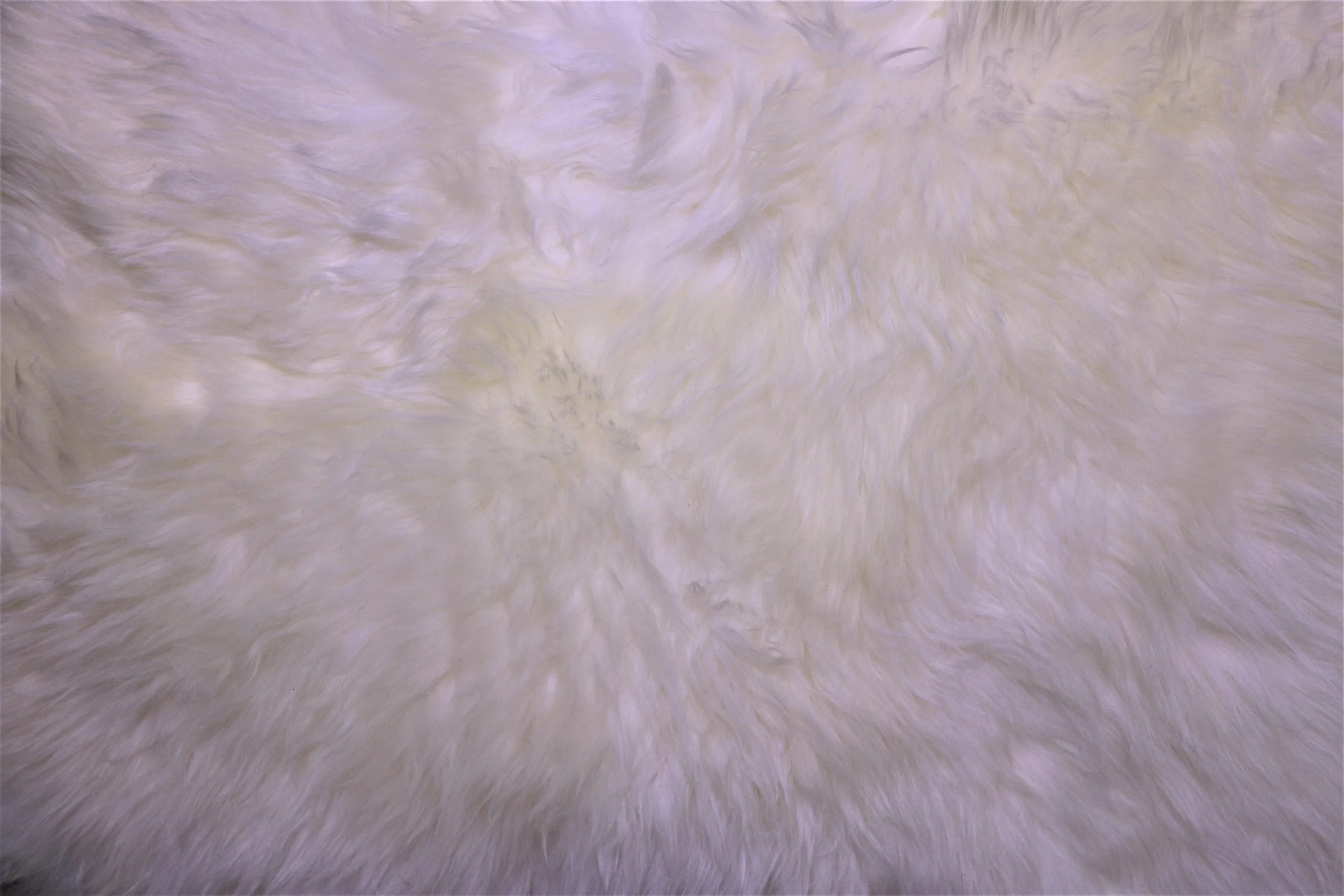 Sheepskin Single Ivory XL - Image 4