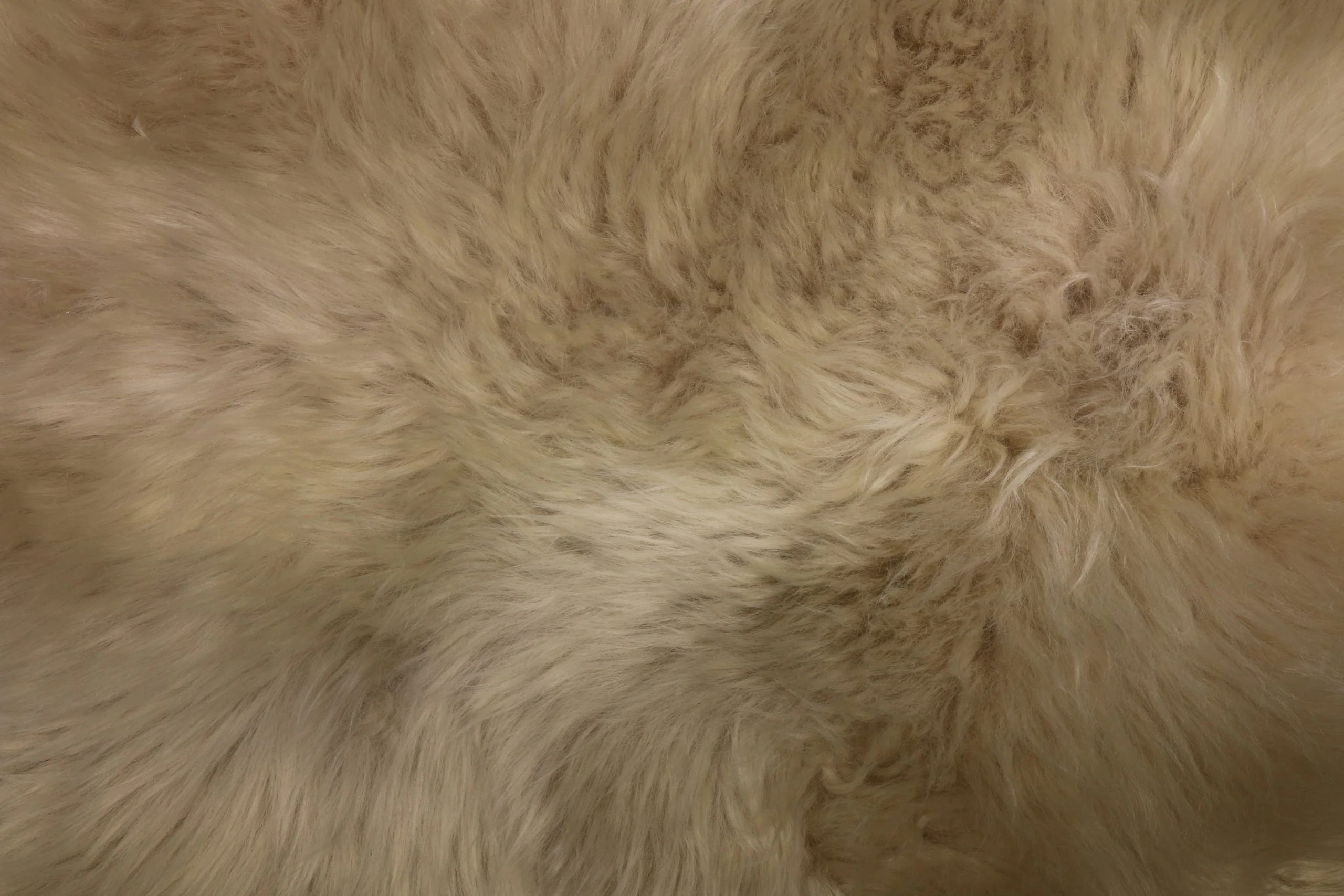 Sheepskin Single Oyster - XL - Image 2